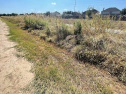 Bioswale in drought conditions Bioswale in drought conditions