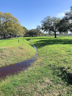 Swale at the CLCWA's Exploration Green Detention Facility Swale at the CLCWA's Exploration Green Detention Facility