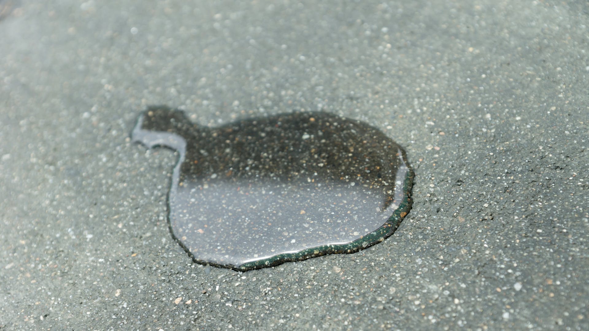 65427a3575a9d6001ff86665 Untitled 5