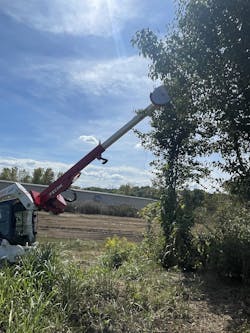 fcn_trim_ex fcn_trim_ex