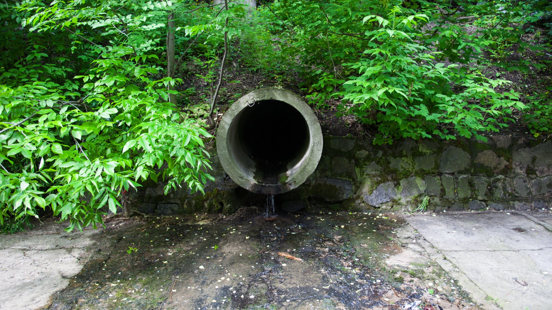 65491ffddf4b5b001efe41ae Untitled 12