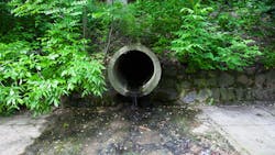 65491ffddf4b5b001efe41ae Untitled 12 65491ffddf4b5b001efe41ae Untitled 12