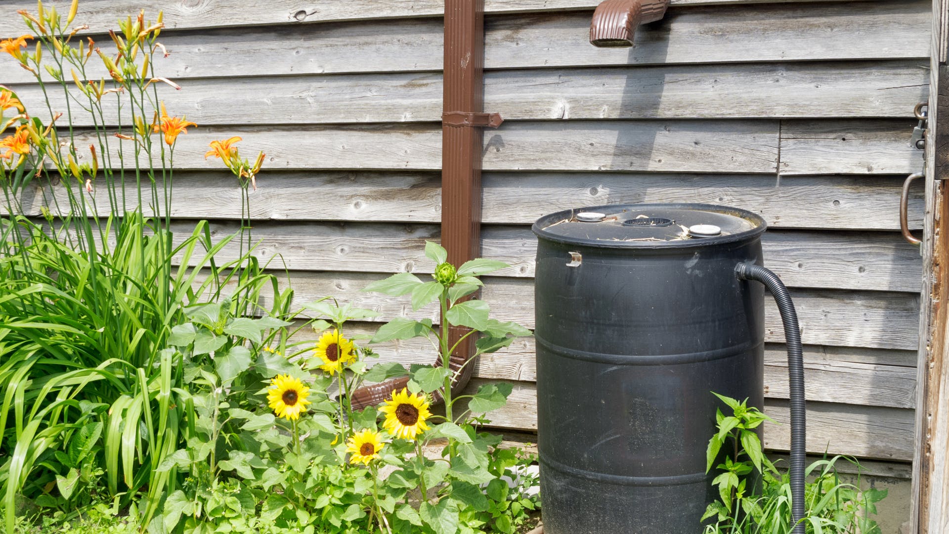 654a554c259385001d1bb18c Untitled 17