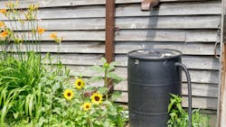 654a554c259385001d1bb18c Untitled 17 654a554c259385001d1bb18c Untitled 17