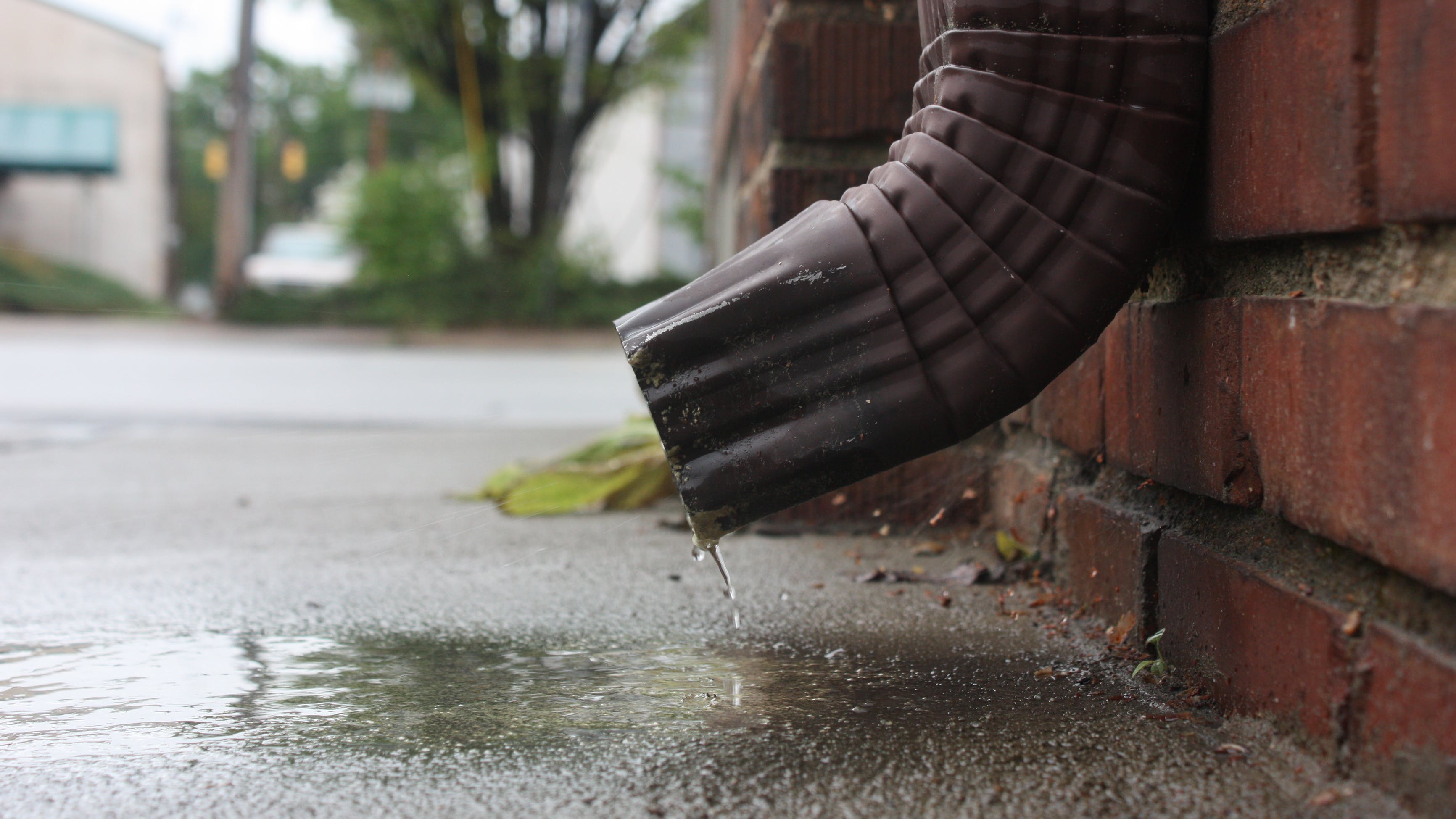 654be5c0a4dd01001e6556a7 Dreamstime Xl 25863335