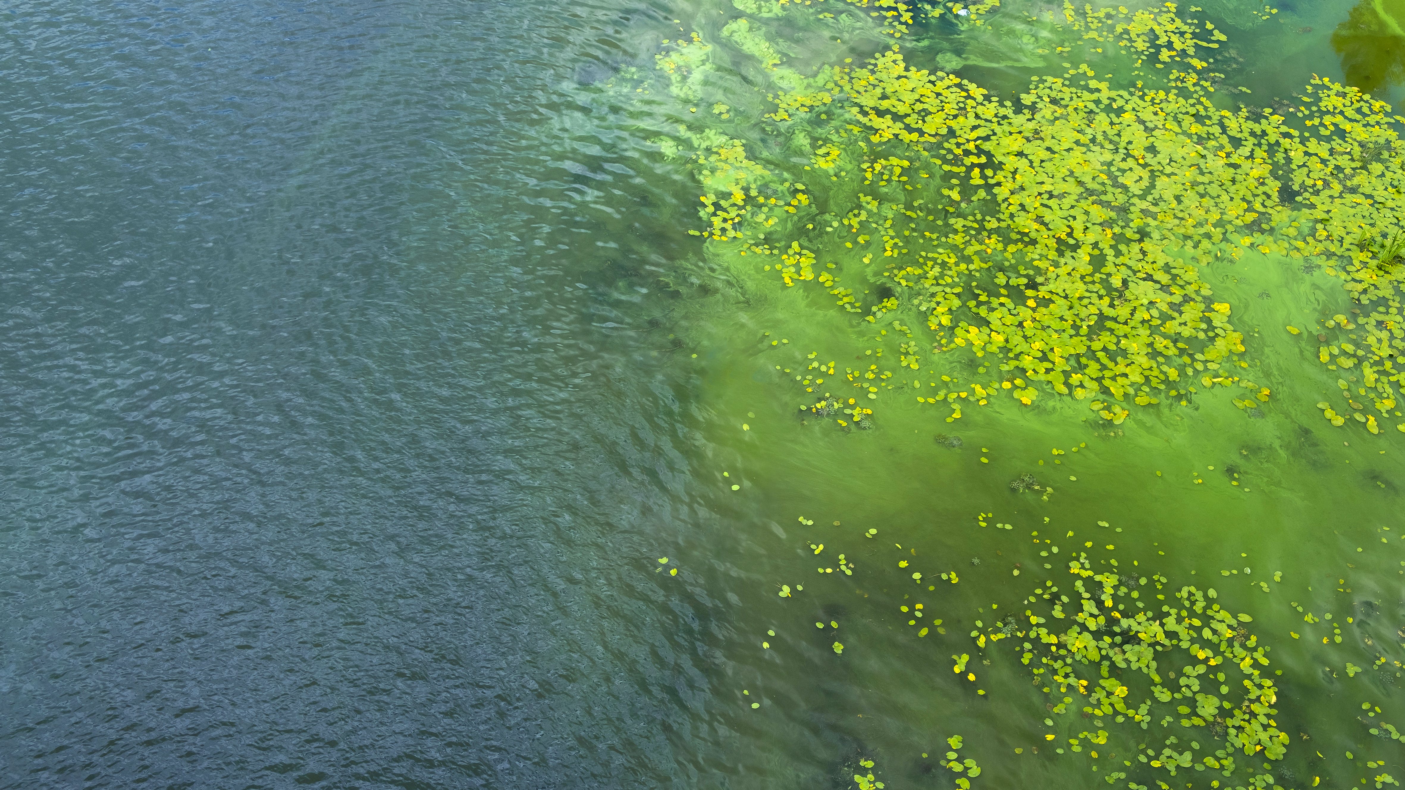 654e4545f78392001e1327b9 Dreamstime Xxl 172947991 1