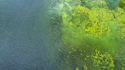 654e4545f78392001e1327b9 Dreamstime Xxl 172947991 1 654e4545f78392001e1327b9 Dreamstime Xxl 172947991 1