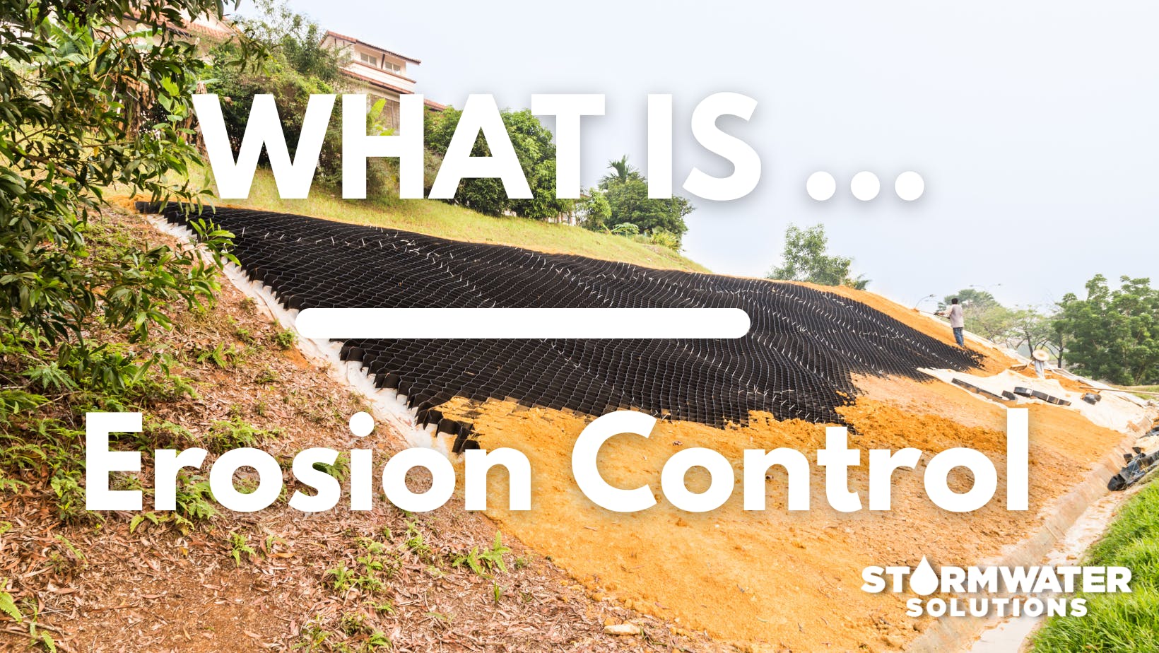 654e65984ef170001e86271e What Is