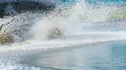 dreamstime_xxl_117070266