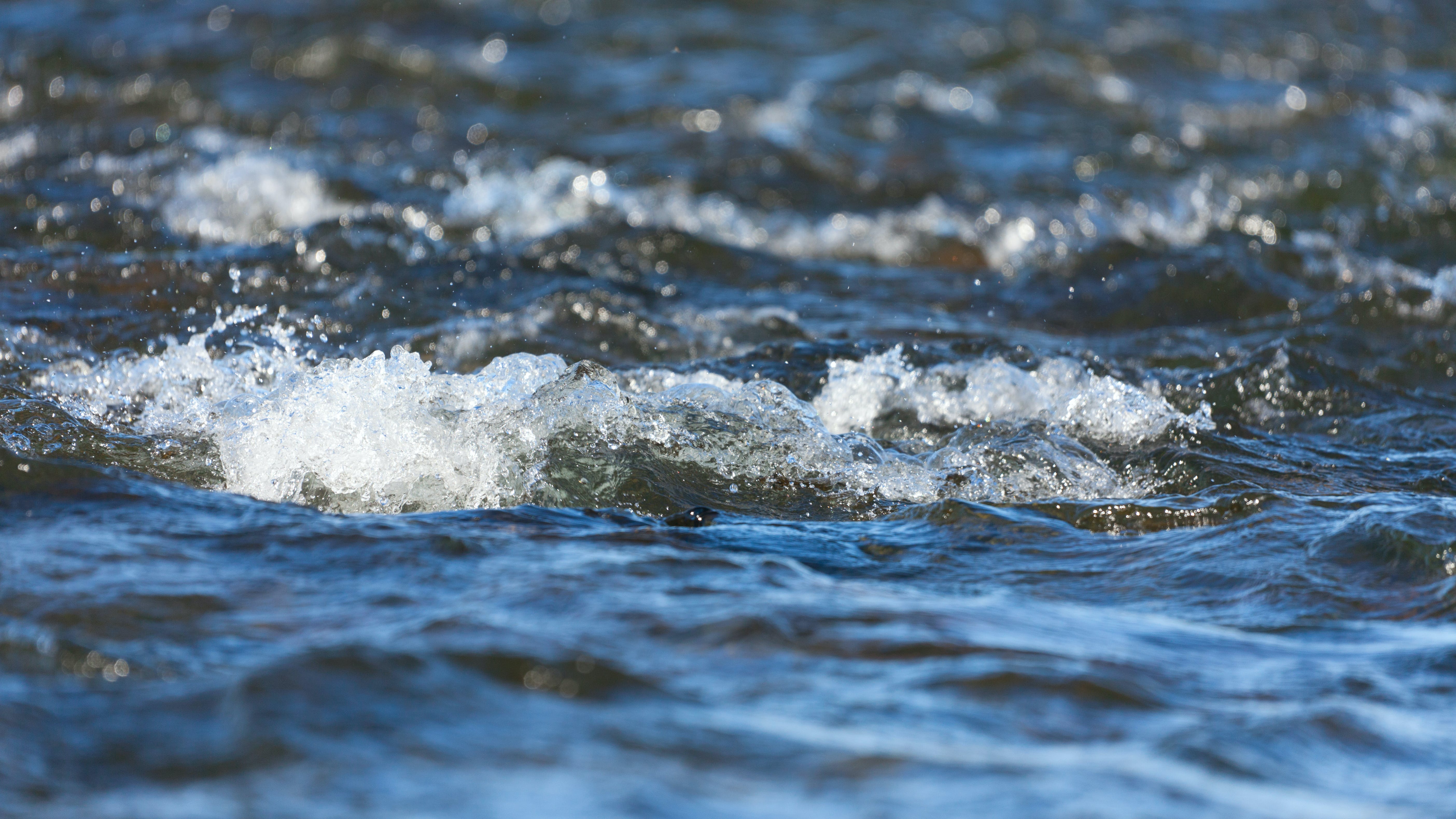 65562fbae3e05d001ebf3589 Dreamstime Xxl 37906074