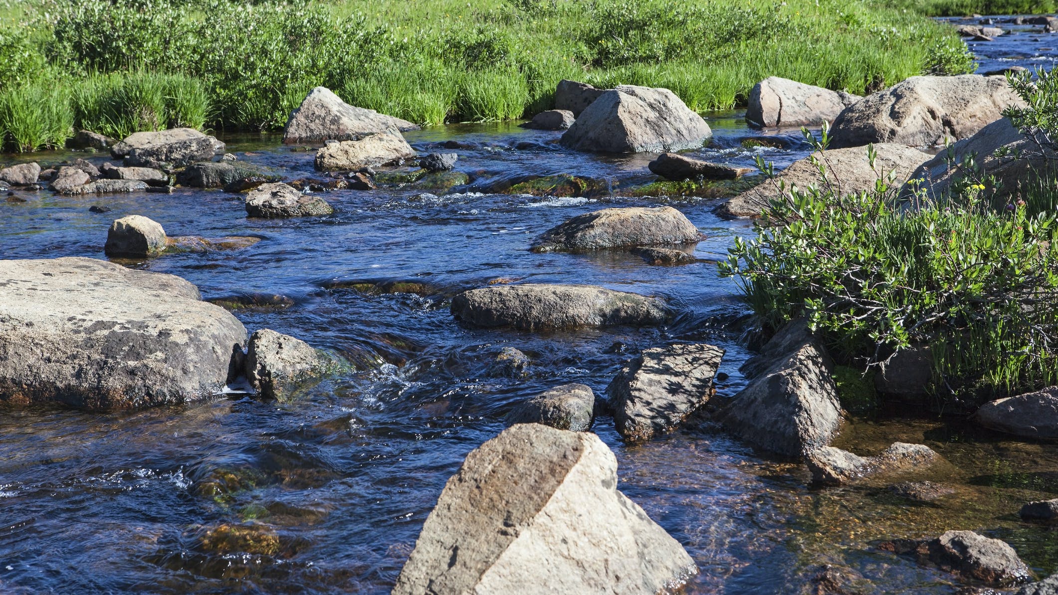 655e1128a3ede2001ecb019d Dreamstime M 35632739