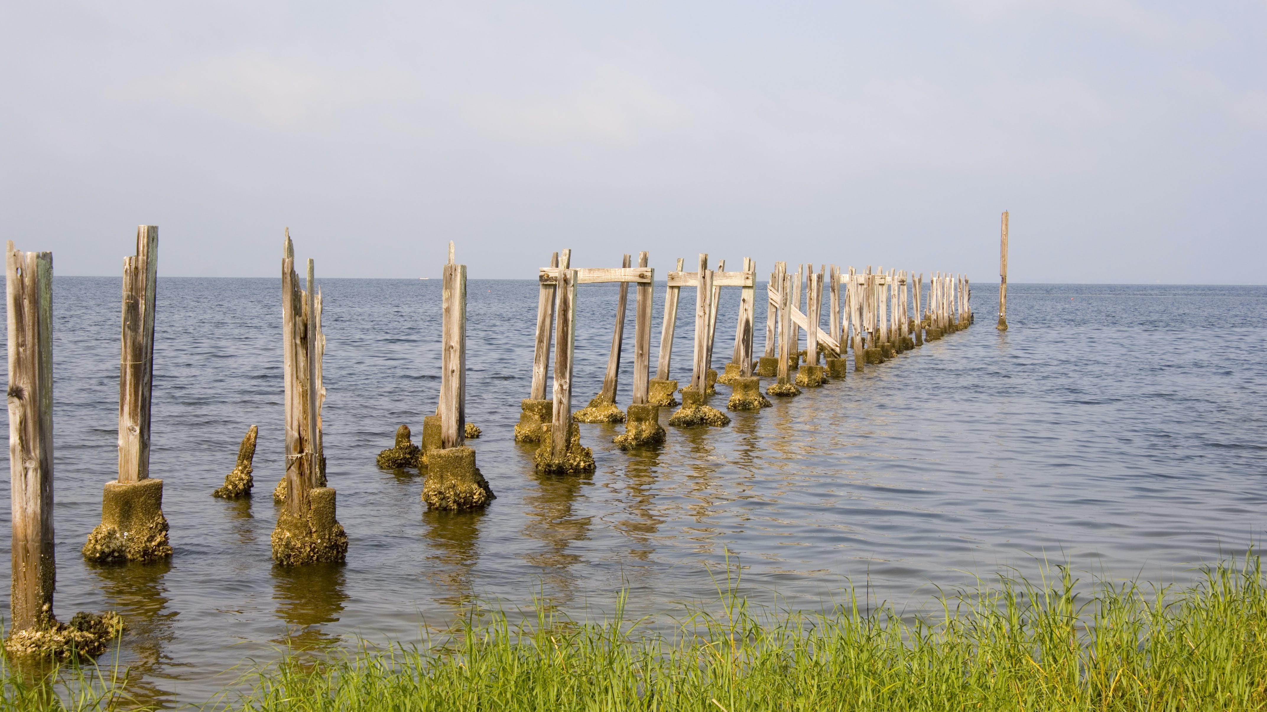 6577262101b4a6001ec880b3 Dreamstime Xxl 1327374