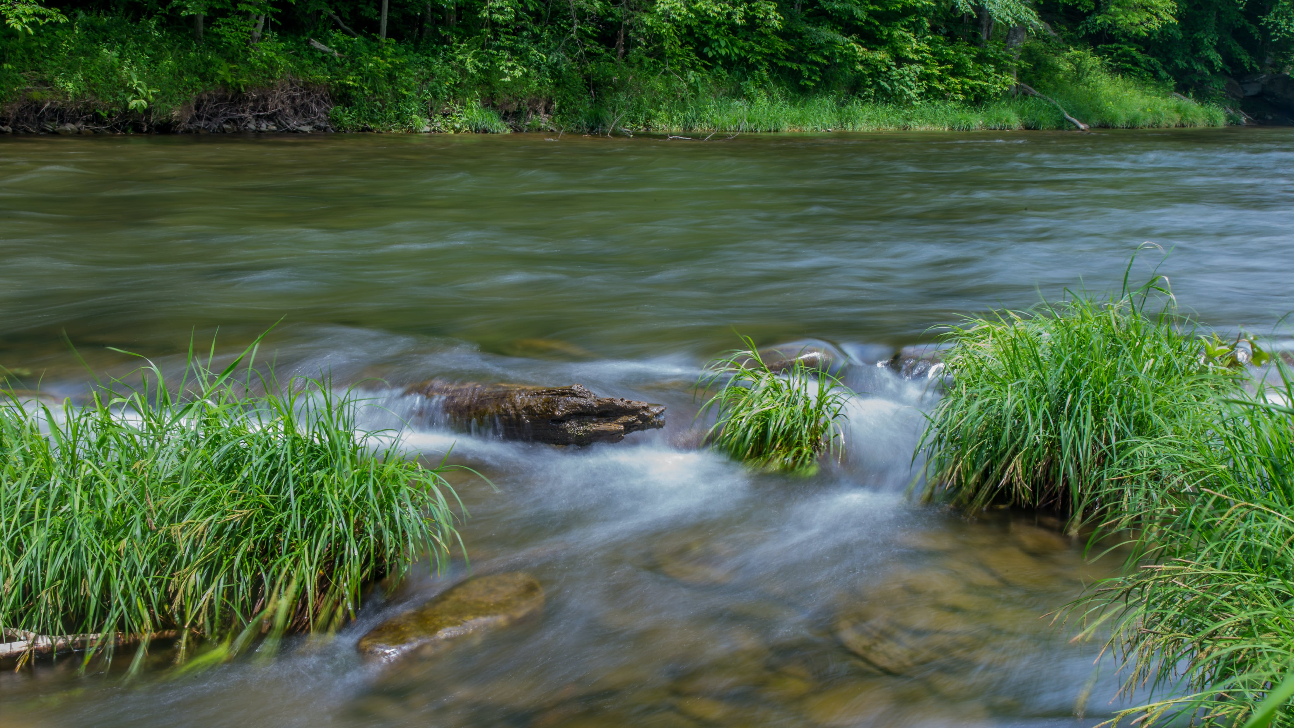 65787540313f62001e1d54d9 Dreamstime Xxl 45219493