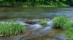 dreamstime_xxl_45219493