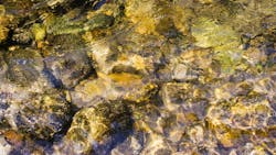 6578976c36ab68001d541e41 Dreamstime Xxl 2953006 6578976c36ab68001d541e41 Dreamstime Xxl 2953006