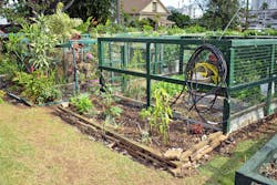 Community gardens can reduce urban heat islands, provide ecosystem services, and increase stormwater retention.