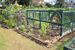 Community gardens can reduce urban heat islands, provide ecosystem services, and increase stormwater retention. Community gardens can reduce urban heat islands, provide ecosystem services, and increase stormwater retention.