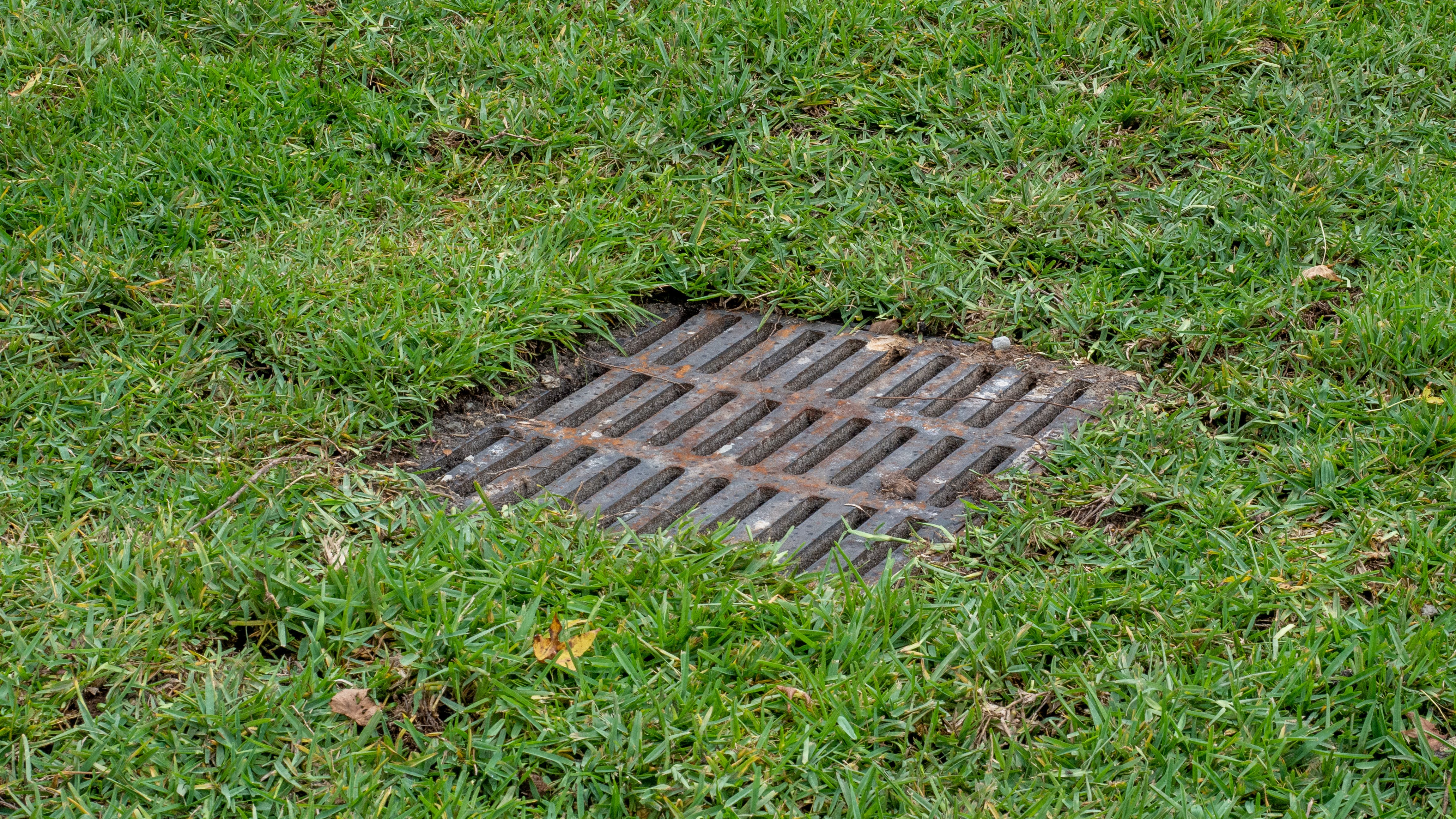 65806a335b28eb001e18325c Dreamstime Xxl 166591789