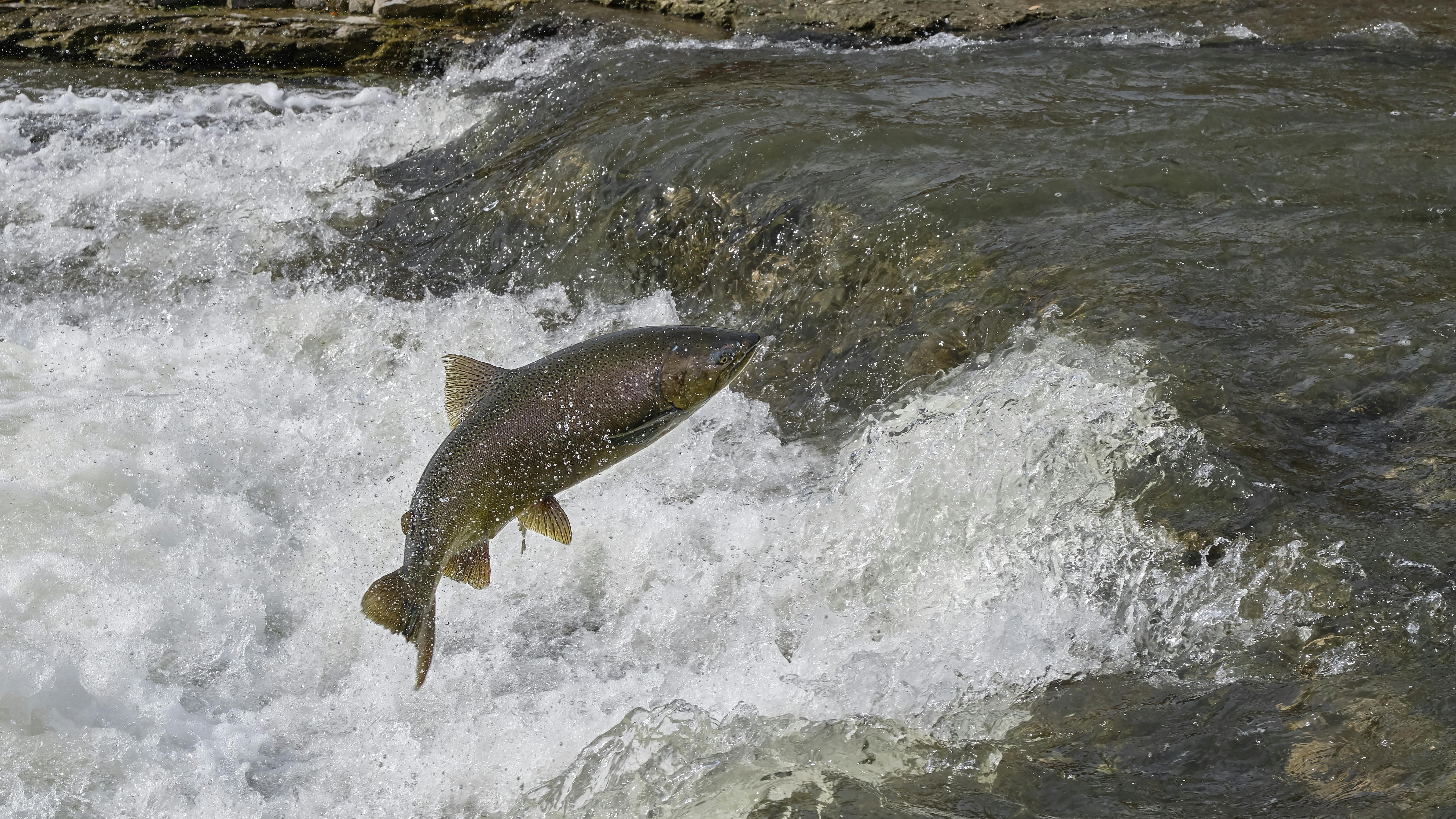 6594237115fbf9001ec348a1 Dreamstime Xxl 159979140