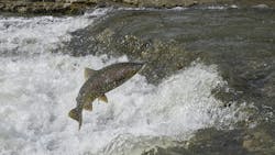 6594237115fbf9001ec348a1 Dreamstime Xxl 159979140 6594237115fbf9001ec348a1 Dreamstime Xxl 159979140