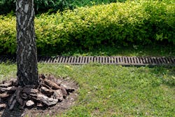 Catch basins are just one way to filter stormwater. Catch basins are just one way to filter stormwater.