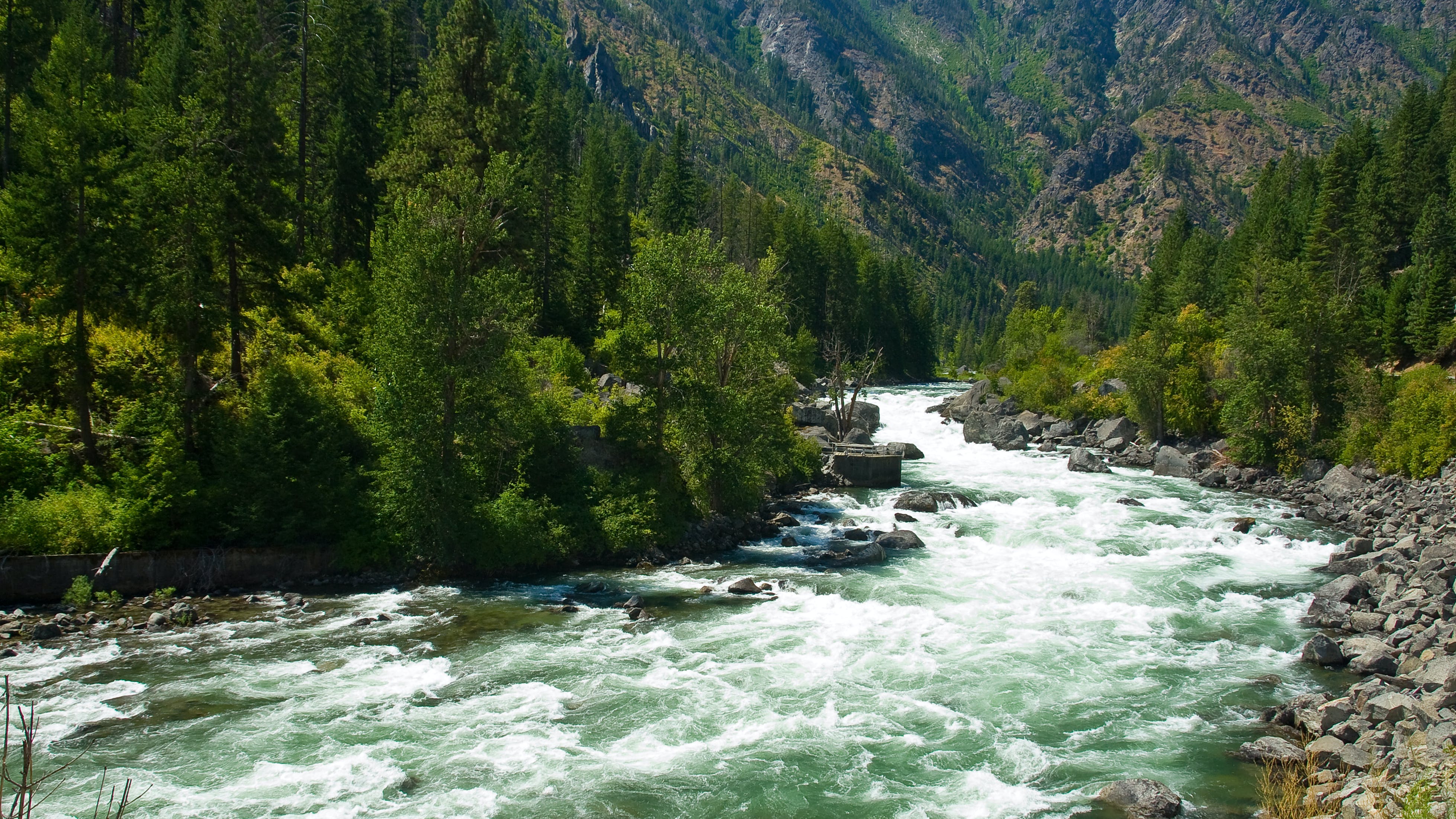 65982d3193d7ca001d9ced49 Dreamstime Xxl 31361987