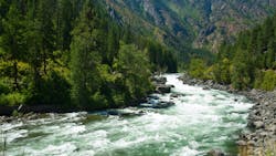 65982d3193d7ca001d9ced49 Dreamstime Xxl 31361987 65982d3193d7ca001d9ced49 Dreamstime Xxl 31361987