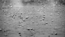 659ec74e927755001e5f20ce Dreamstime Xxl 10211098 659ec74e927755001e5f20ce Dreamstime Xxl 10211098