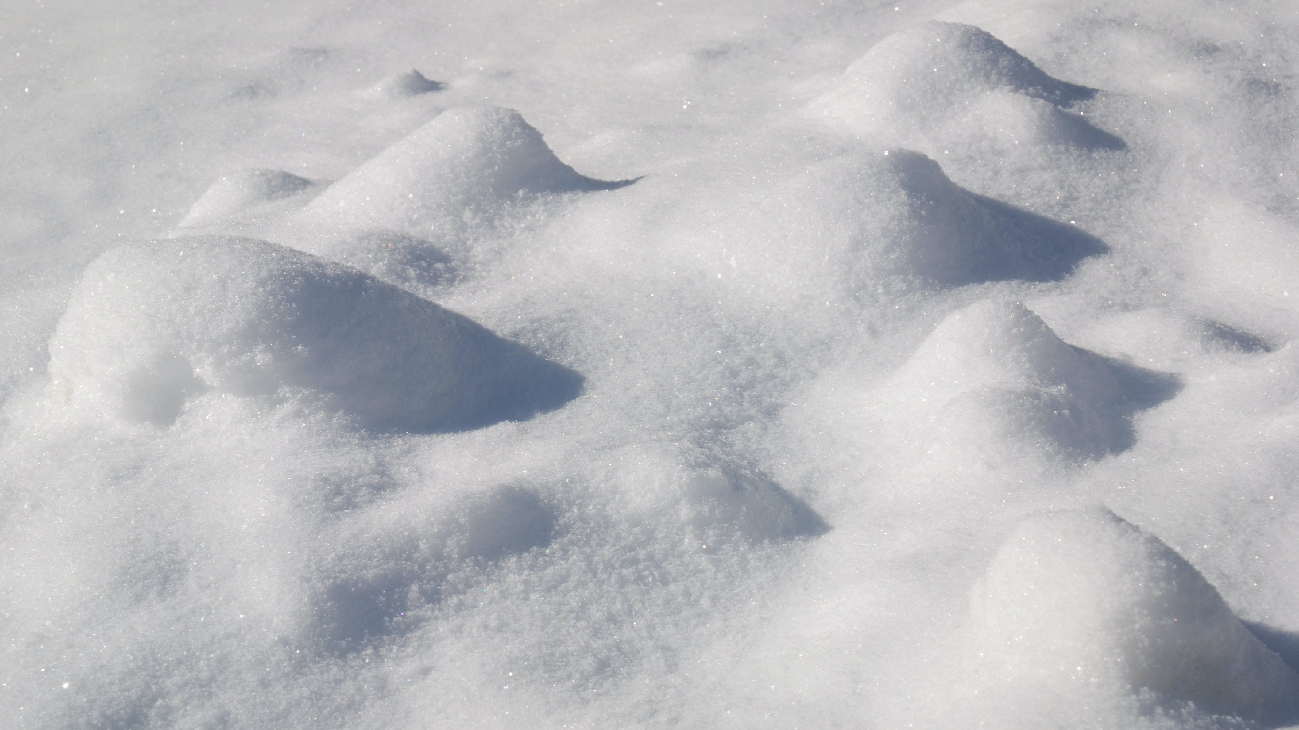 65a154962a6b5f001e55c65c Dreamstime Xxl 12296455