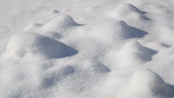 65a154962a6b5f001e55c65c Dreamstime Xxl 12296455 65a154962a6b5f001e55c65c Dreamstime Xxl 12296455