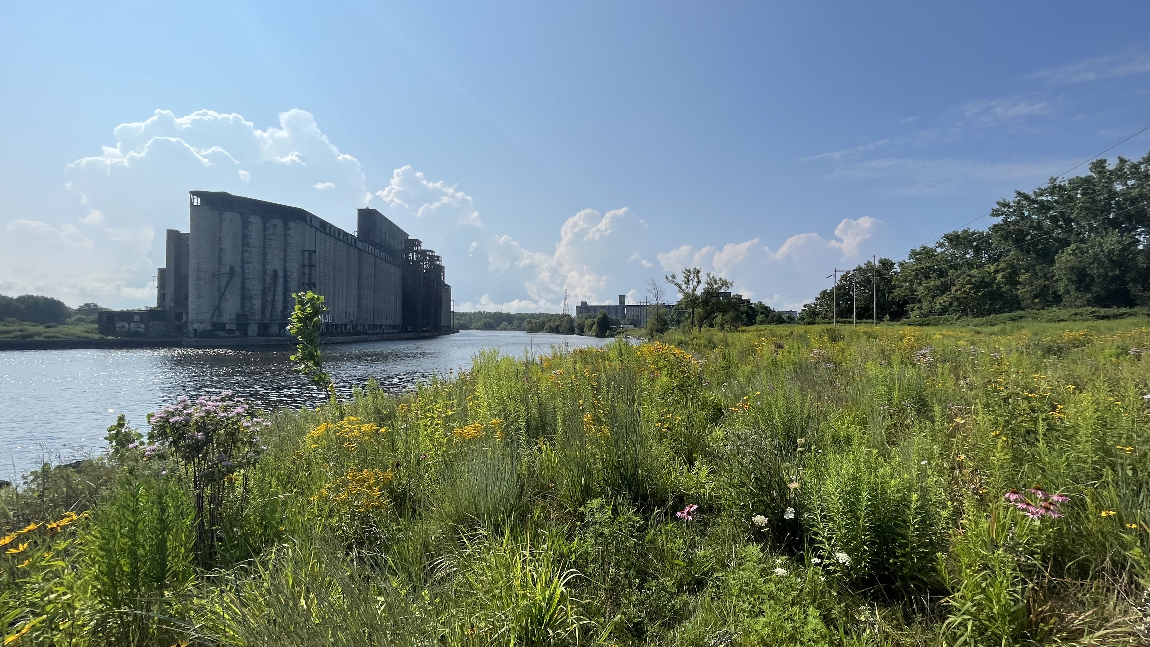 65b3d00a41838f001e943a18 53481864615 00db6de492 O