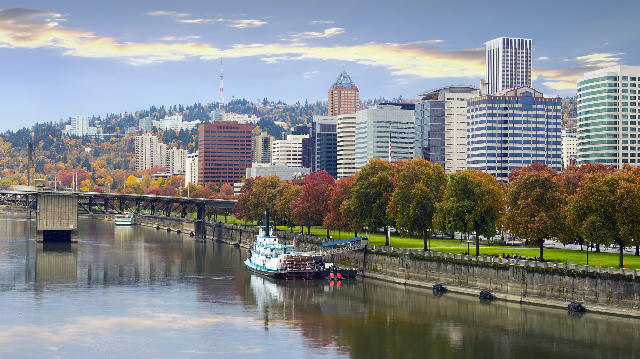 dreamstime_xl_27464320