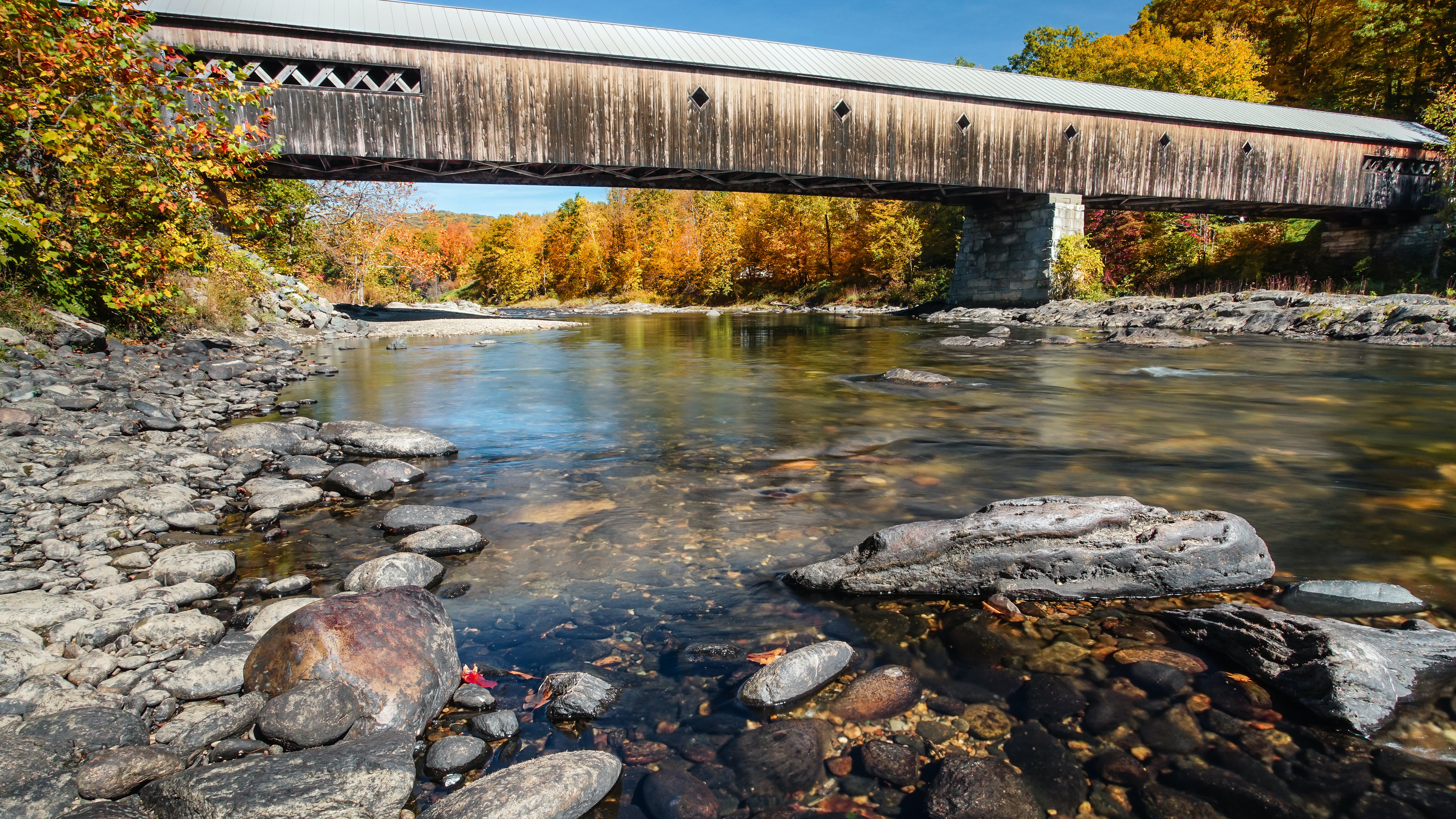 dreamstime_xxl_72949316