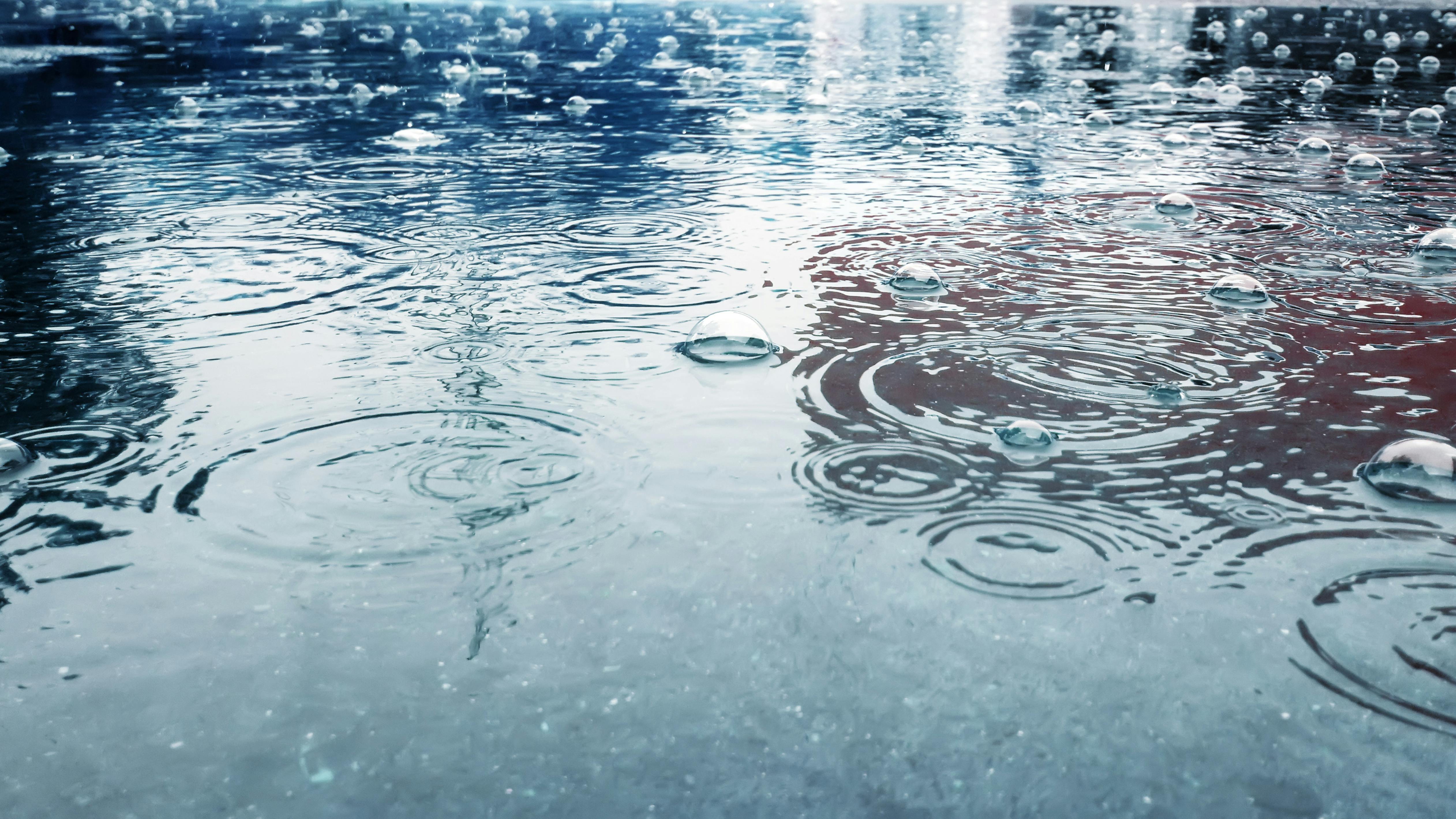 65bbbf306a824a001eedddd5 Dreamstime 152452927 1