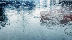 65bbbf306a824a001eedddd5 Dreamstime 152452927 1 65bbbf306a824a001eedddd5 Dreamstime 152452927 1