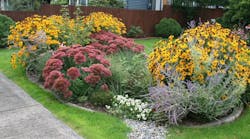 Photo Credit: Rain Dog Designs, Gig Harbor, WA Photo Credit: Rain Dog Designs, Gig Harbor, WA