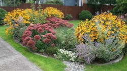 Photo Credit: Rain Dog Designs, Gig Harbor, WA Photo Credit: Rain Dog Designs, Gig Harbor, WA