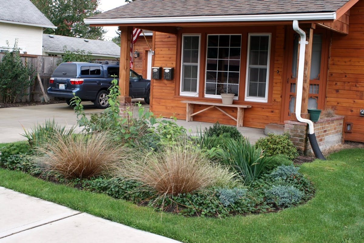 The 2023 guide explains how rain gardens can be used to meet the stormwater management requirements of new development posed by the Washington State Department of Ecology. Photo Credit: Rain Dog Designs, Gig Harbor, WA