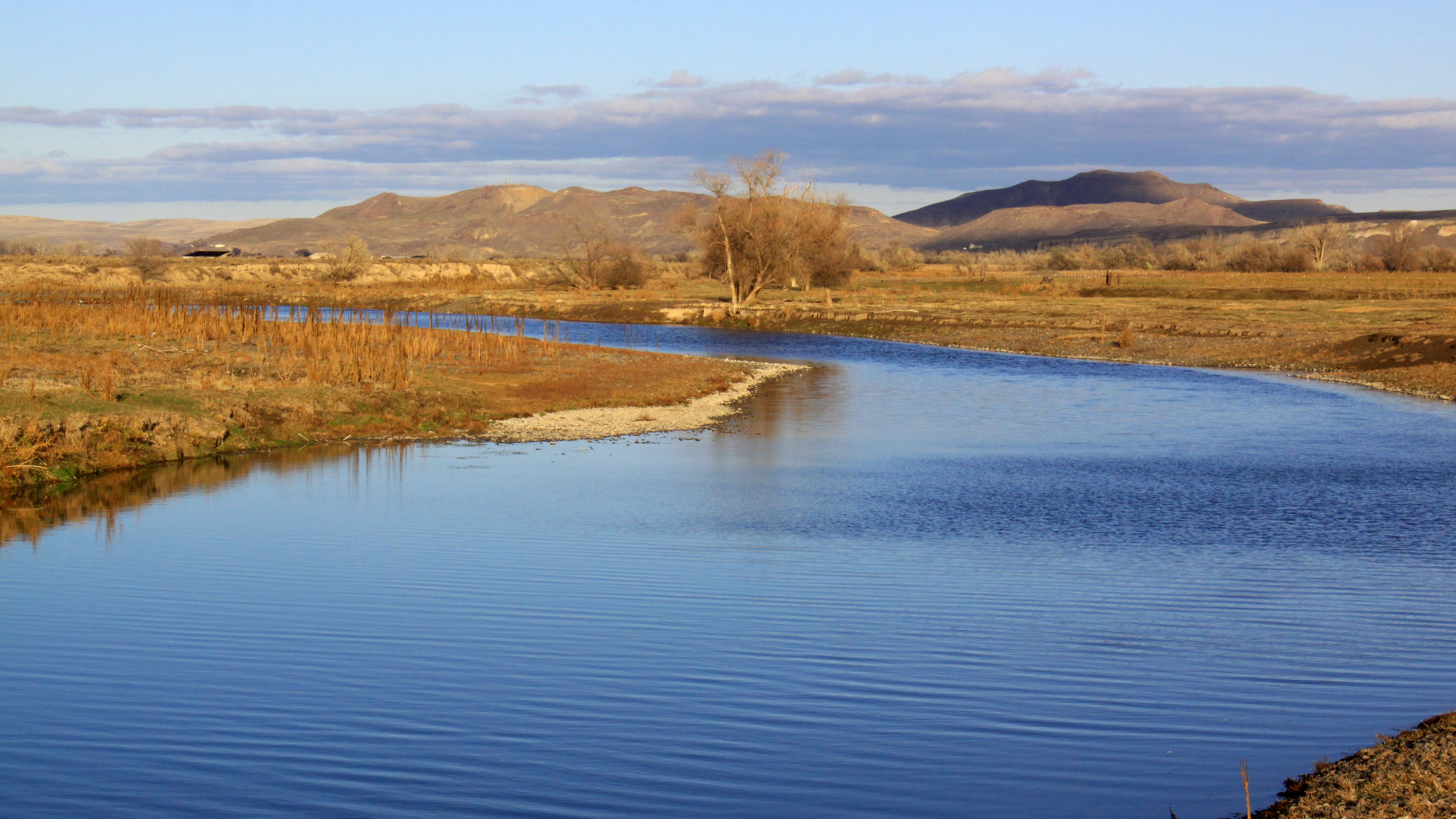 65c246f831b736001e3e6e6e Dreamstime Xxl 35168105