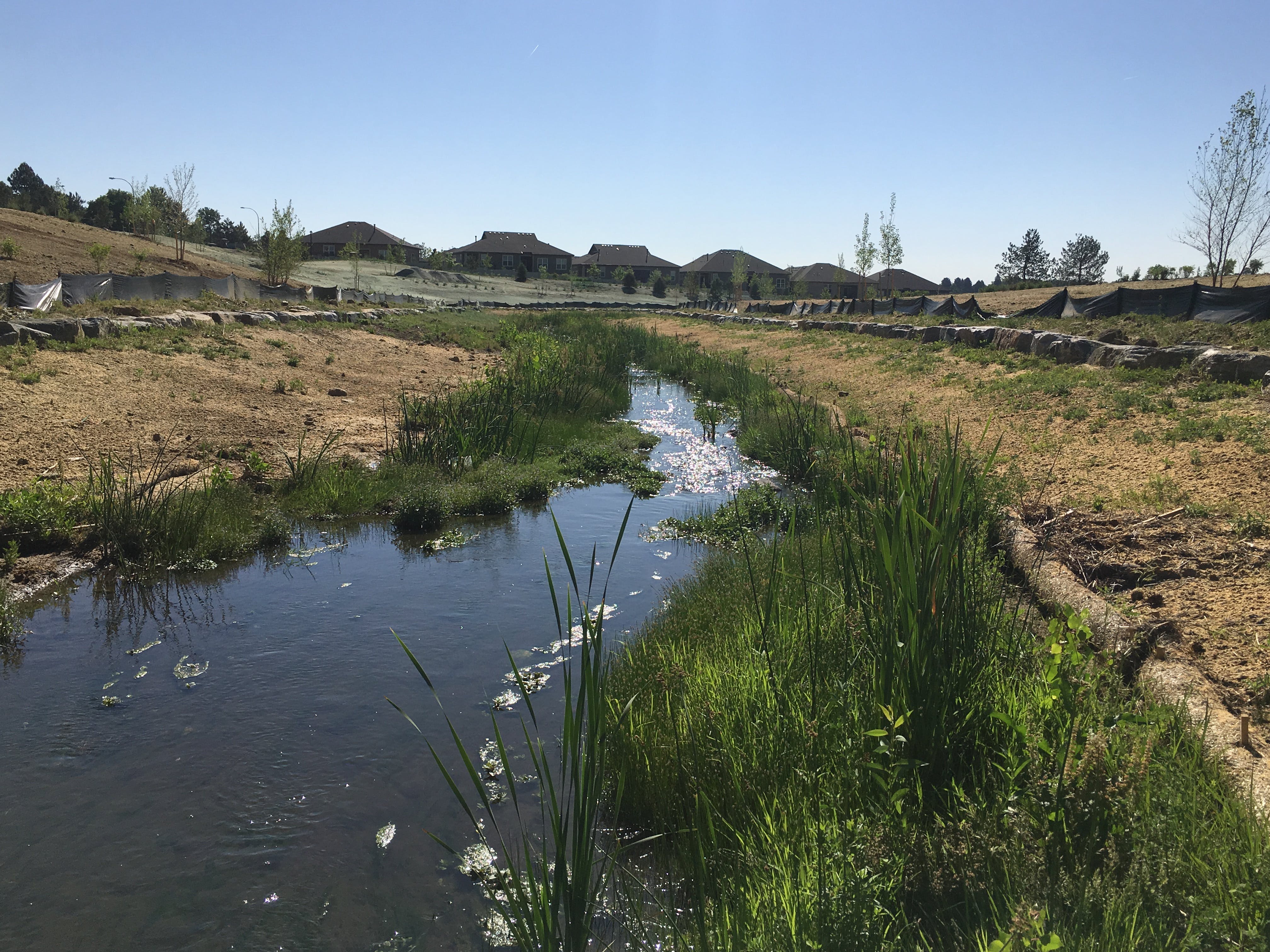 Drainageway vegetation management helps protect investments and promote ...