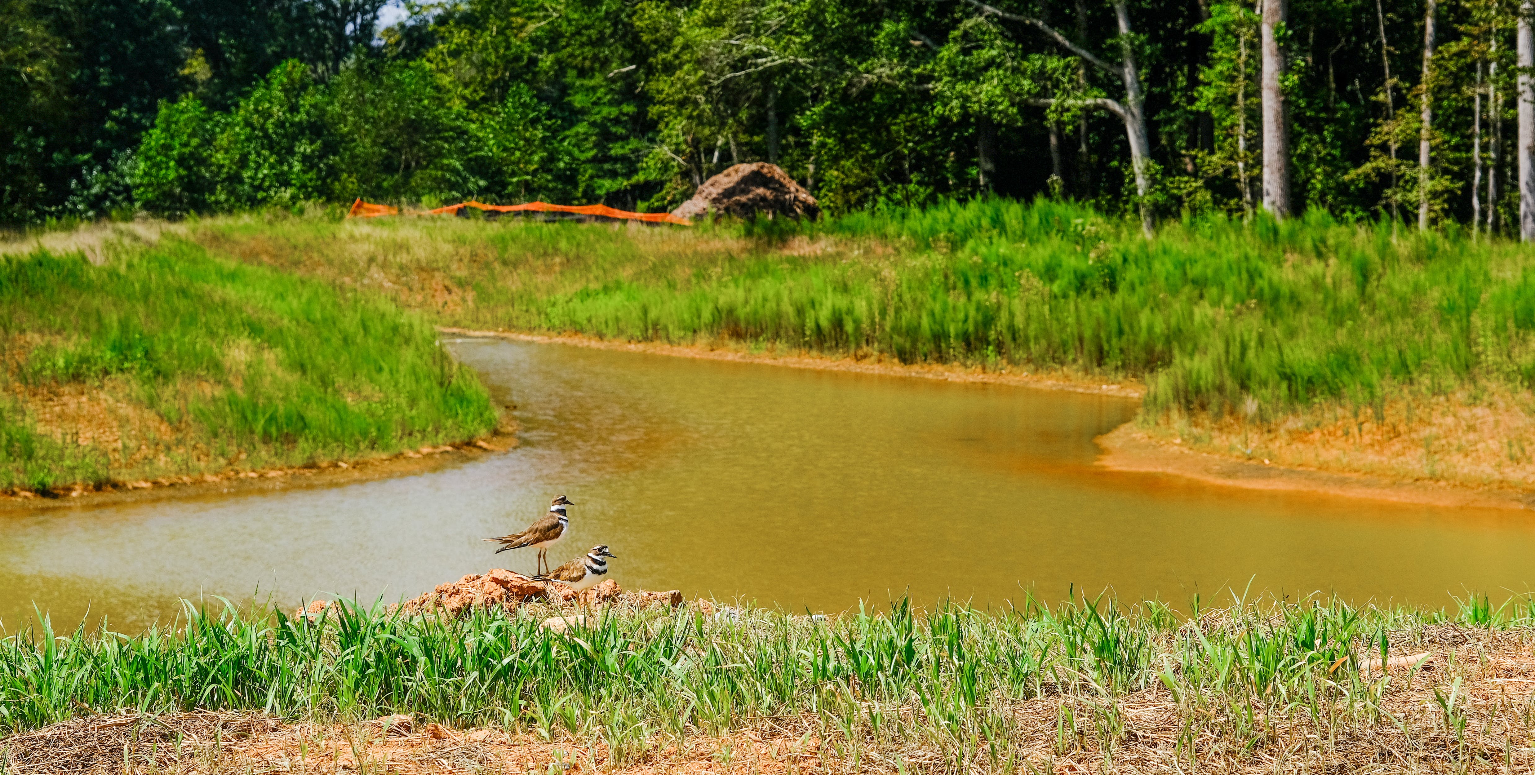 Some states also require MS4s to reduce stormwater pollution from their developed urban area.