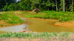 Some states also require MS4s to reduce stormwater pollution from their developed urban area.