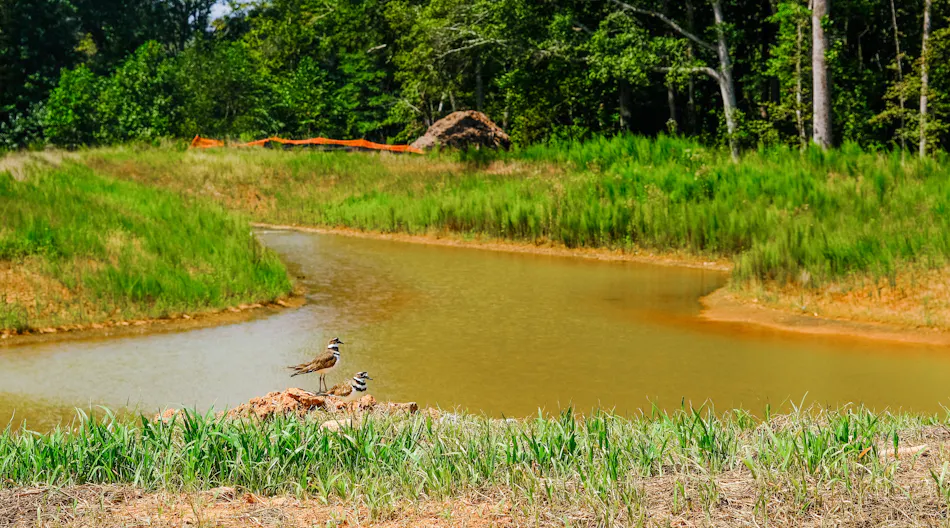 What is an MS4? | Stormwater Solutions