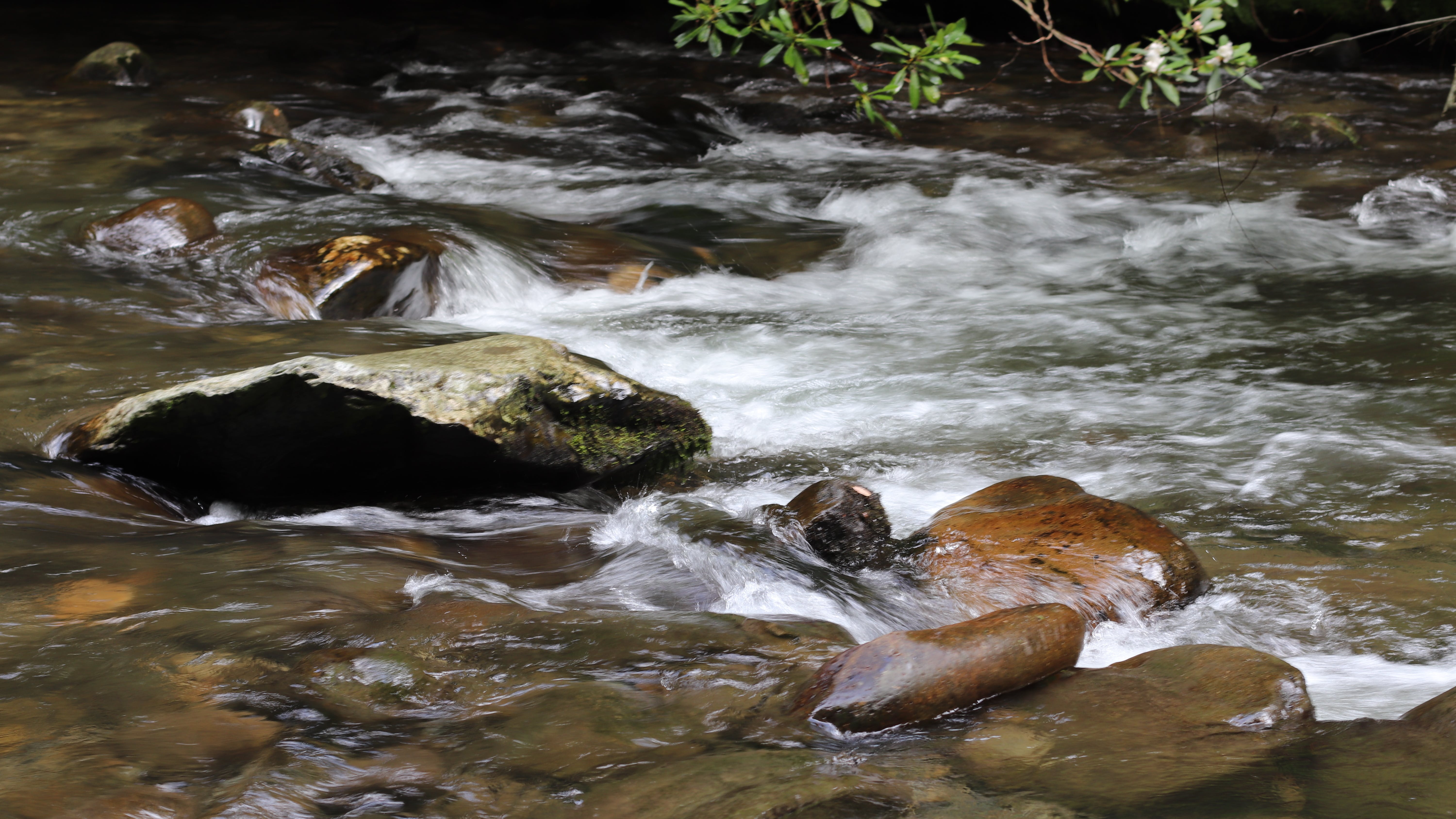 65ccf733bda31c001e547595 Sws 20