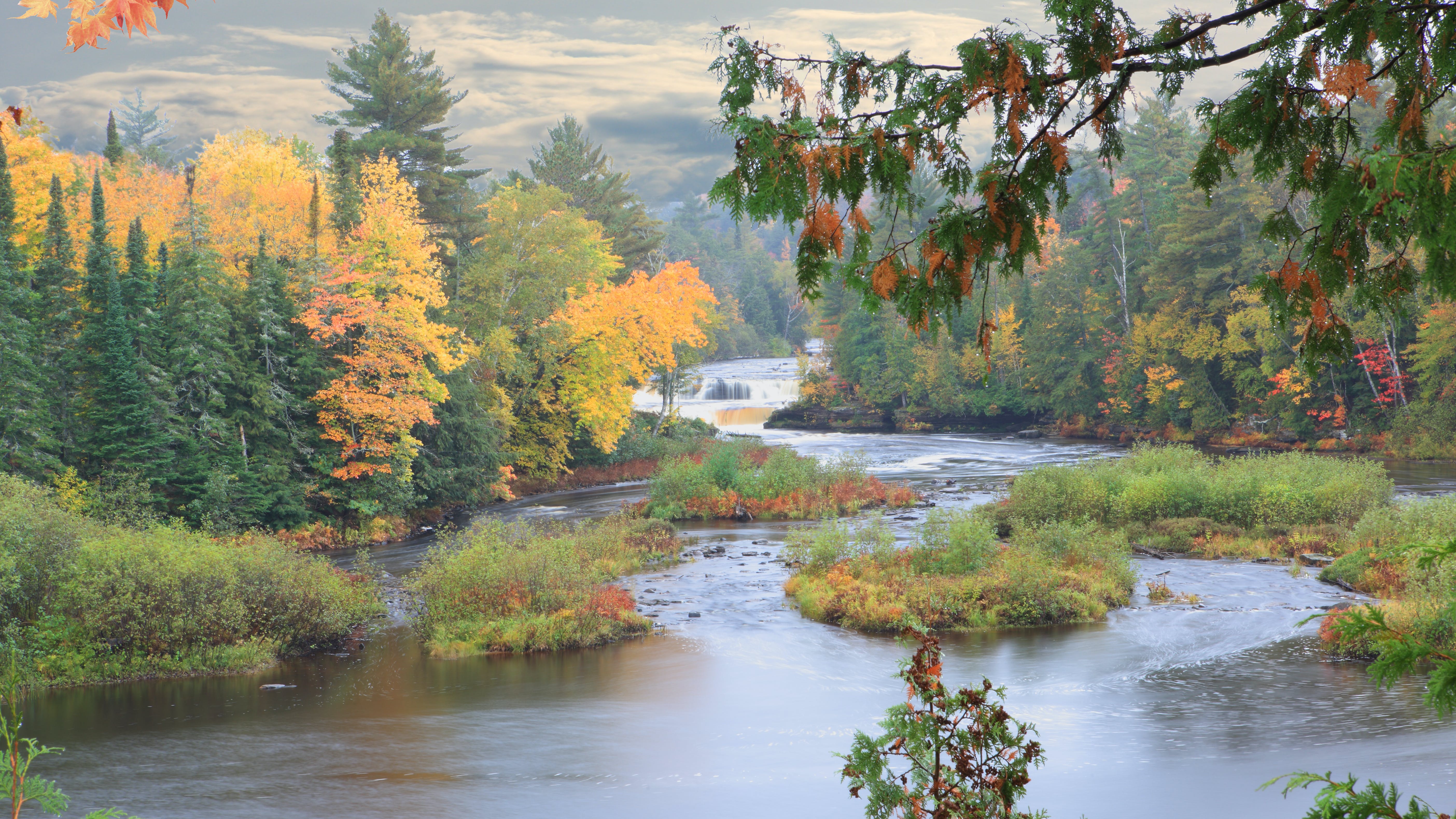 65ccf83917a090001e9eb713 Sws 21