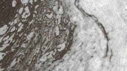 In instances where stormwater discharges are covered under National Pollutant Discharge Elimination System (NPDES) permits, receiving water limits often require discharges not cause or contribute to water quality standards (WQS) exceedances. In instances where stormwater discharges are covered under National Pollutant Discharge Elimination System (NPDES) permits, receiving water limits often require discharges not cause or contribute to water quality standards (WQS) exceedances.