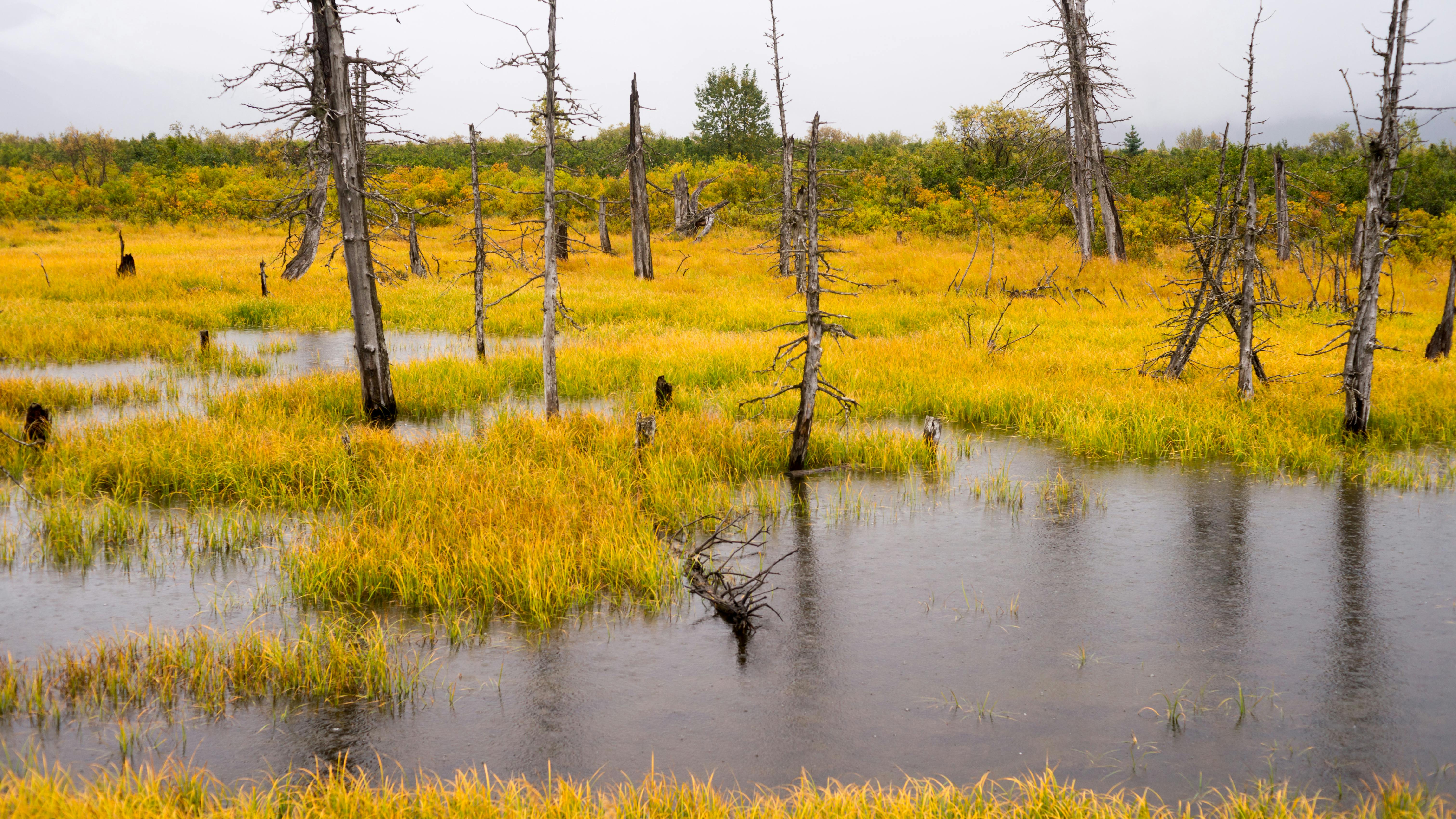 65e78f15bd3711001e495028 Dreamstime Xxl 60214883