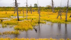 65e78f15bd3711001e495028 Dreamstime Xxl 60214883 65e78f15bd3711001e495028 Dreamstime Xxl 60214883