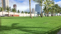 The void space in porous paving systems can be filled with sand to create a conducive environment for natural grass and low-maintenance plants to grow. The void space in porous paving systems can be filled with sand to create a conducive environment for natural grass and low-maintenance plants to grow.