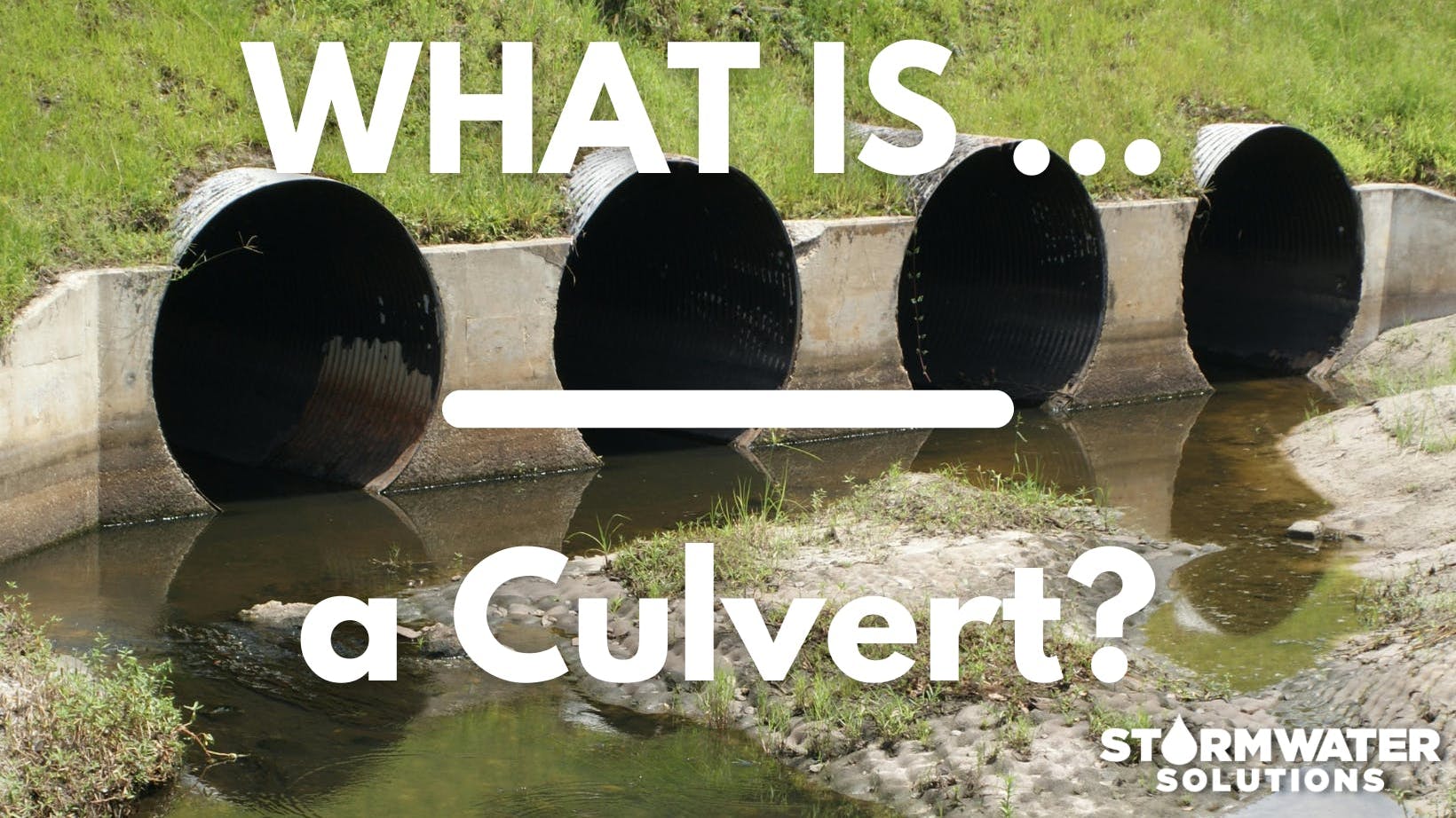 6601dfdd0e50ac001ee80331 What Is